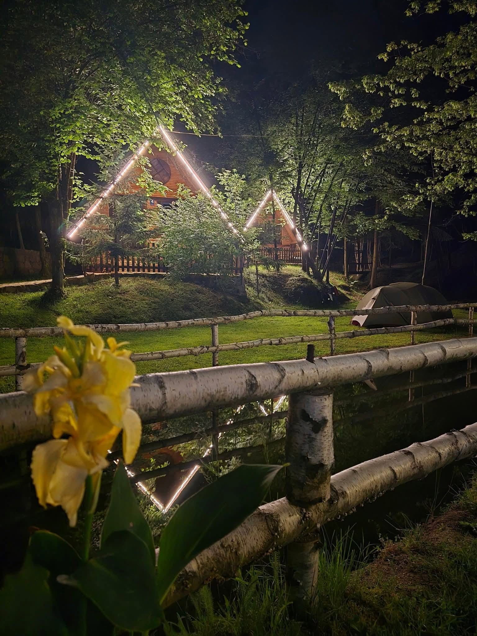Cvijeće i večernja svjetla