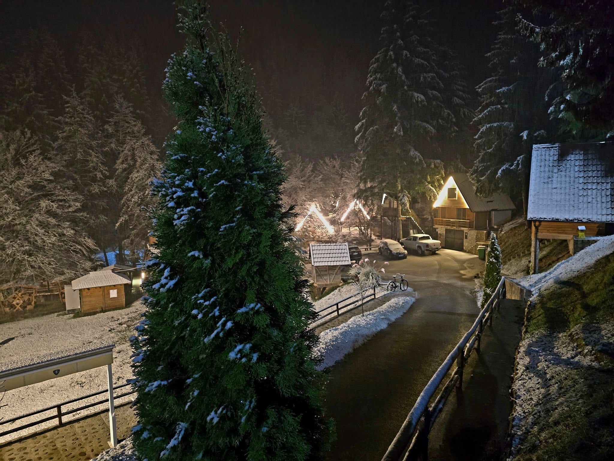 Zimski pogled kroz grane