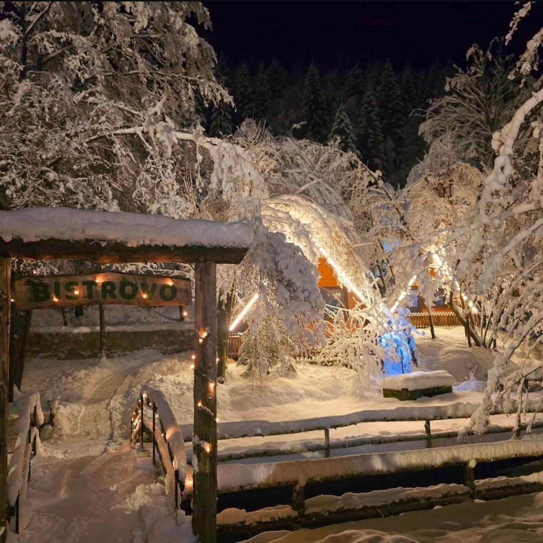 Ulaz u Bistrovo pod snijegom uvečer