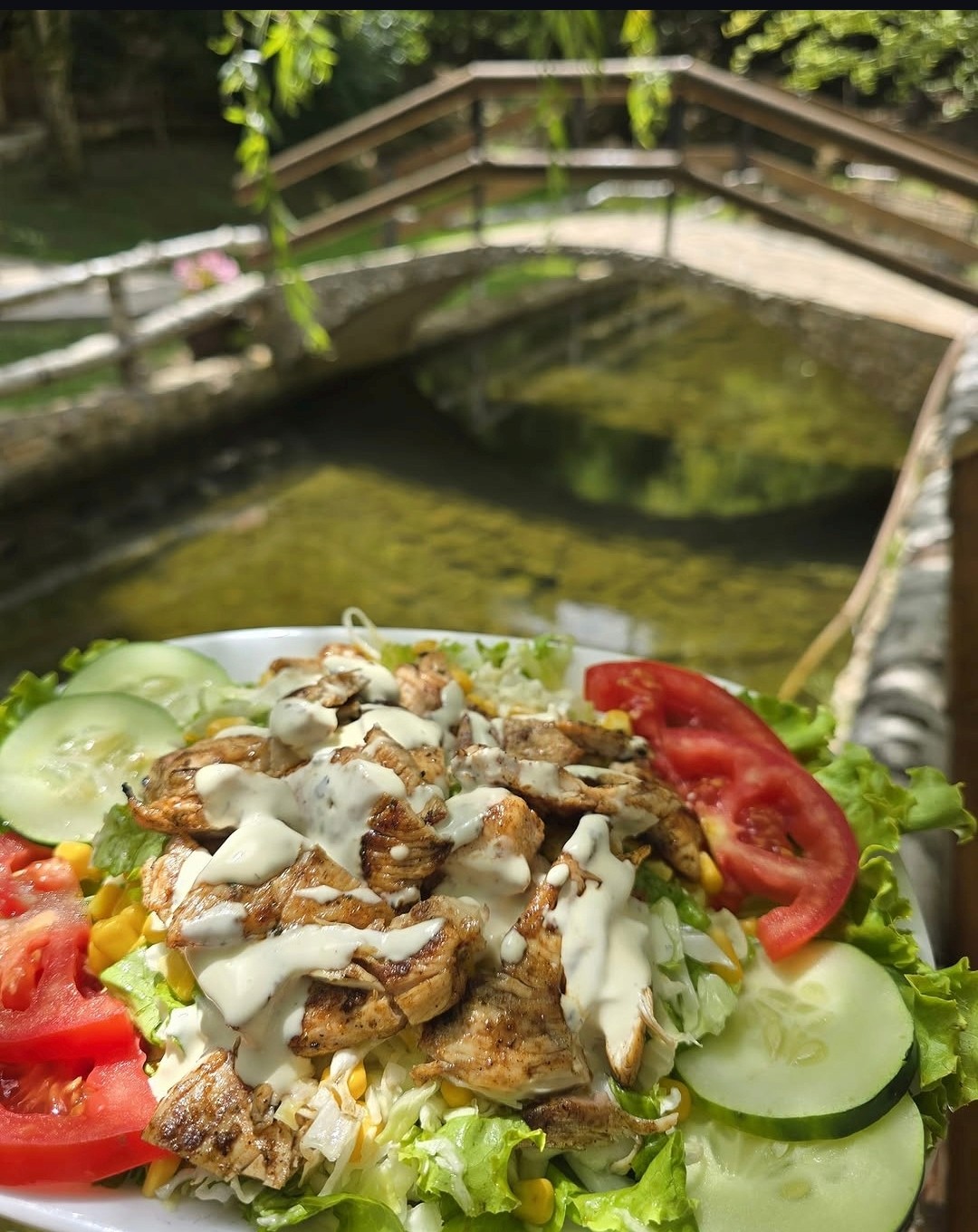 Salata u prvom planu uz most