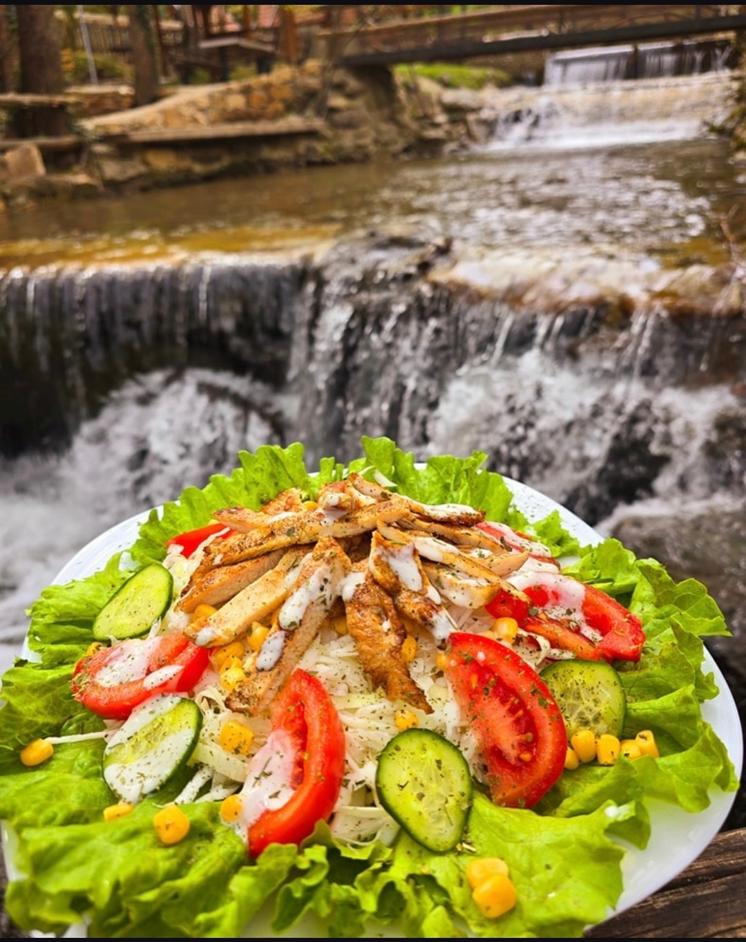 Pileća salata uz vodu